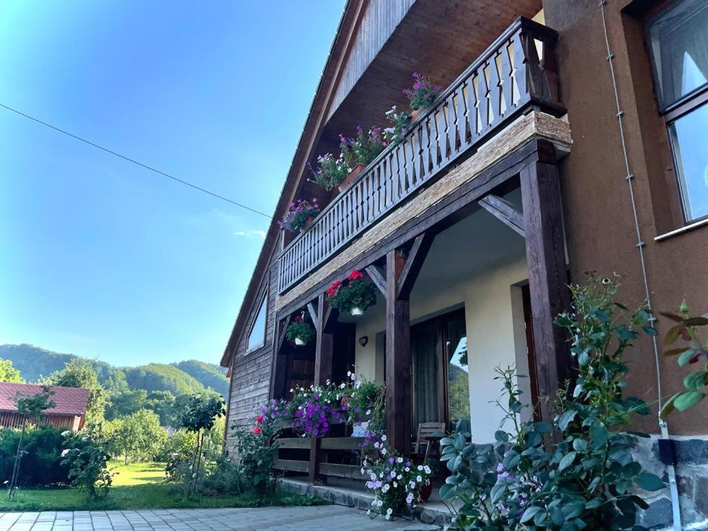 Pensiunea Rares Bistrita Bargaului Exterior photo